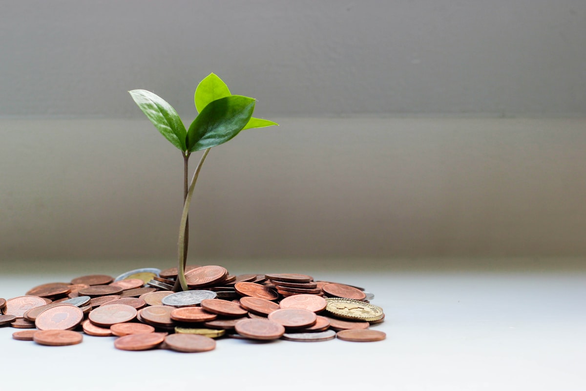 Diversification de Portefeuille : Les Règles d'Or à Suivre